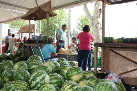 Festival da Melancia