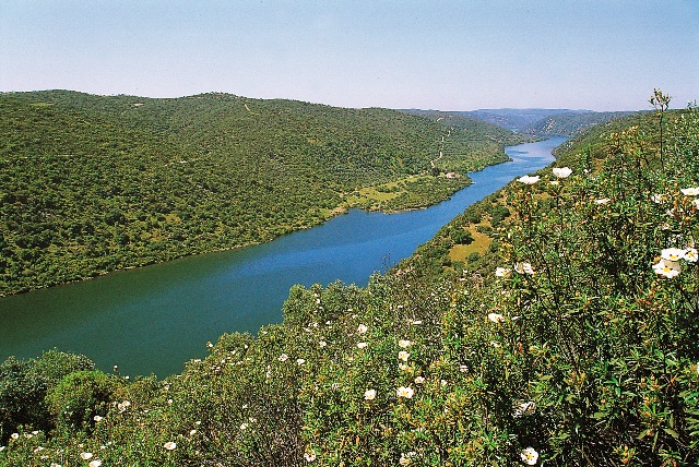 Parque Natural do tejo Internacional